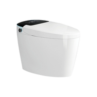 YULIKA Mounted Bidet Toilet One-piece Smart Toilet